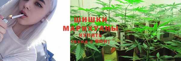 скорость Алзамай
