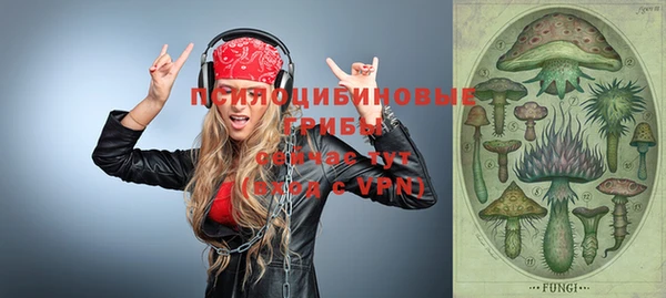дурь Алексеевка