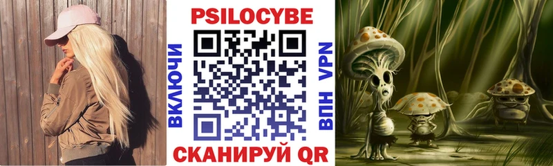 МЕГА рабочий сайт  где купить наркоту  Батайск  Псилоцибиновые грибы Psilocybine cubensis 