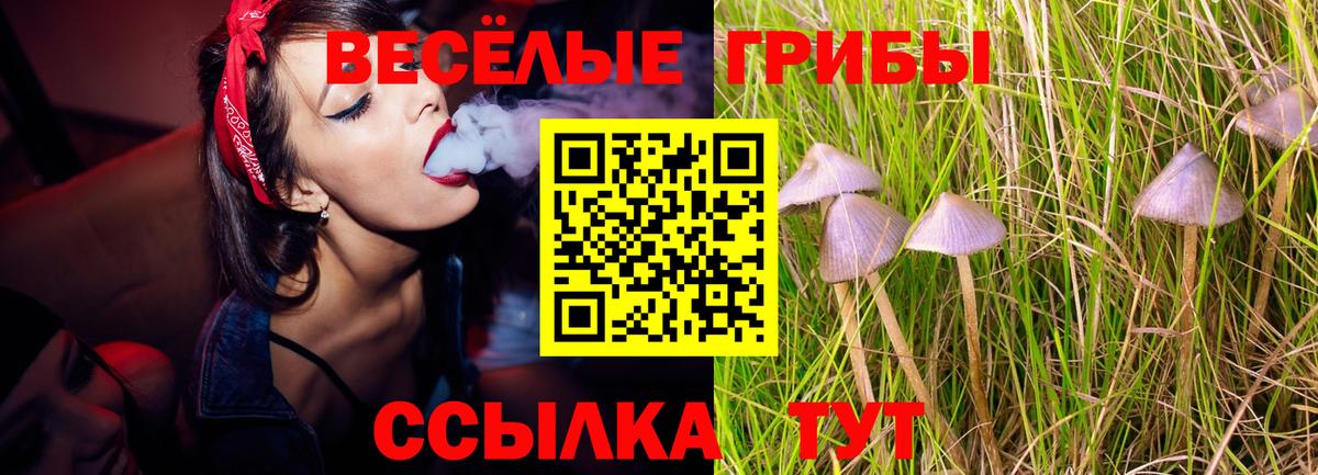 Галлюциногенные грибы Cubensis  Вход с VPN  Псилоцибиновые грибы MAGIC MUSHROOMS  Батайск 